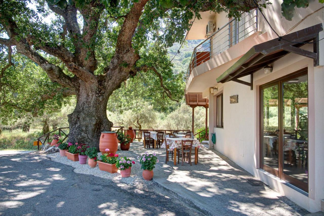 Antartisa B&B Limni (Crete) Exterior foto