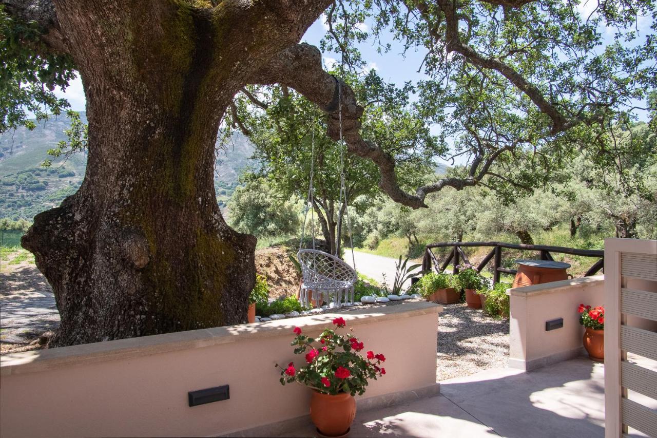 Antartisa B&B Limni (Crete) Exterior foto