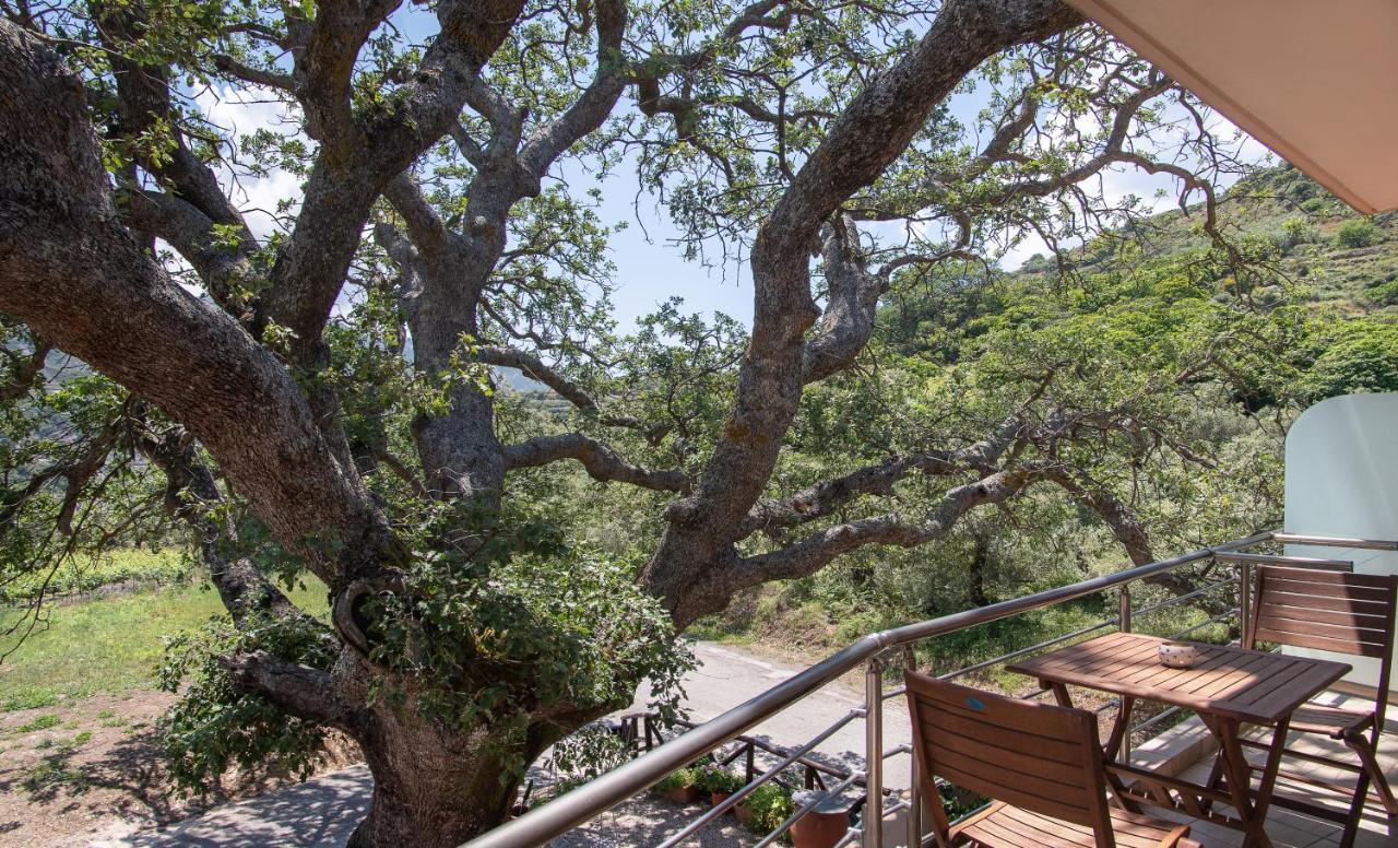 Antartisa B&B Limni (Crete) Exterior foto