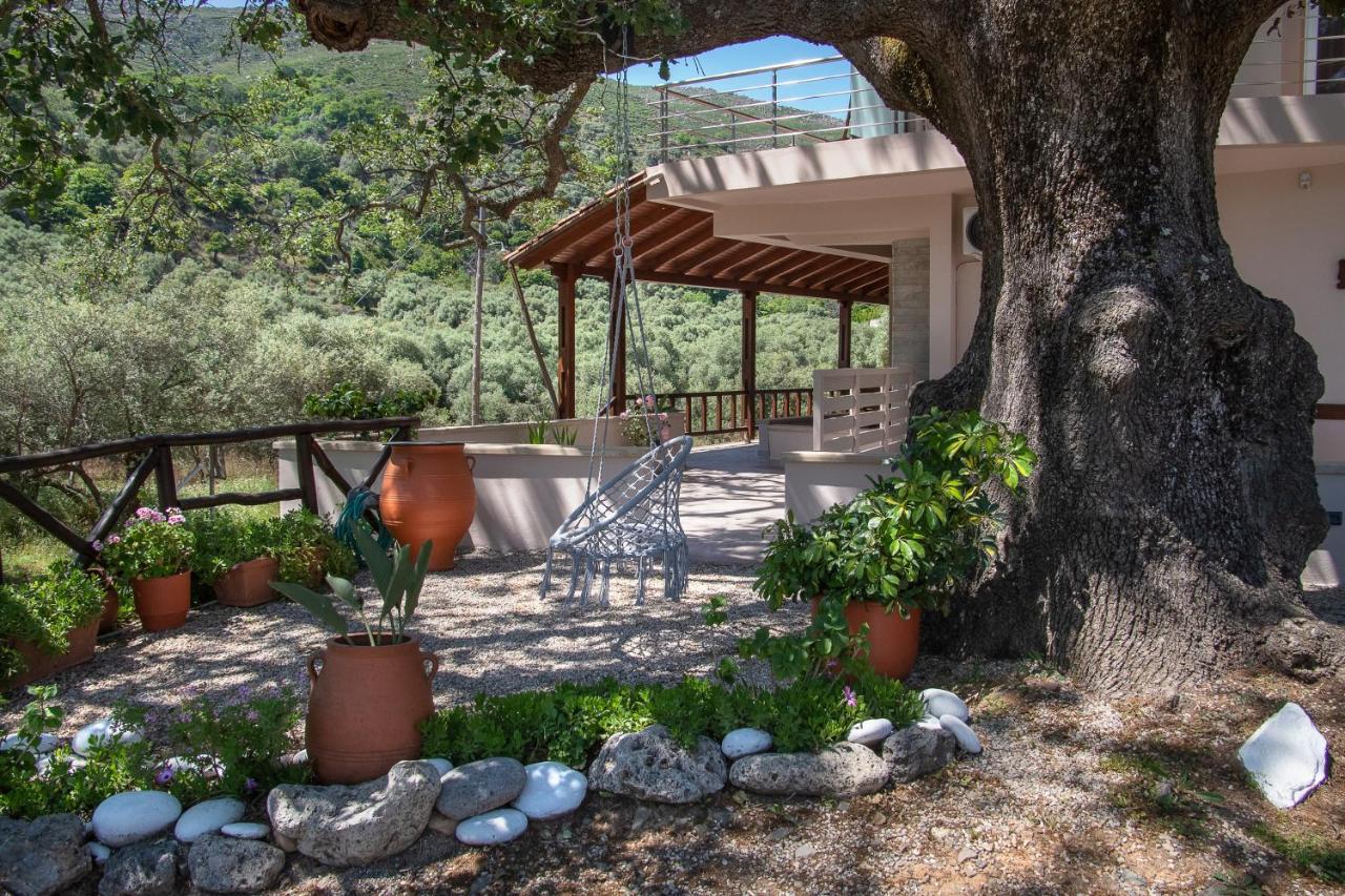 Antartisa B&B Limni (Crete) Exterior foto